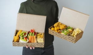 boîte repas ingénieux Party Box – la boîte repas compartimentée qui change la donne !